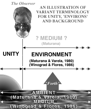 Figure AmbEnv:  Ambience / Environment / Medium